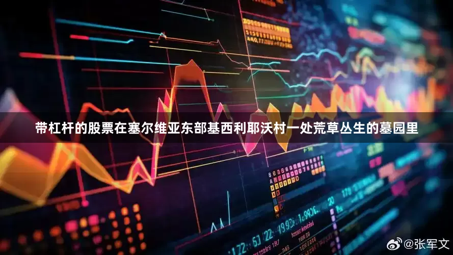 带杠杆的股票在塞尔维亚东部基西利耶沃村一处荒草丛生的墓园里