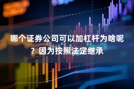哪个证券公司可以加杠杆　　为啥呢？因为按照法定继承