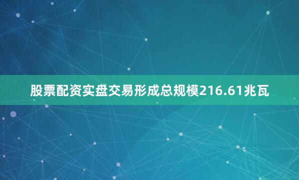 股票配资实盘交易形成总规模216.61兆瓦