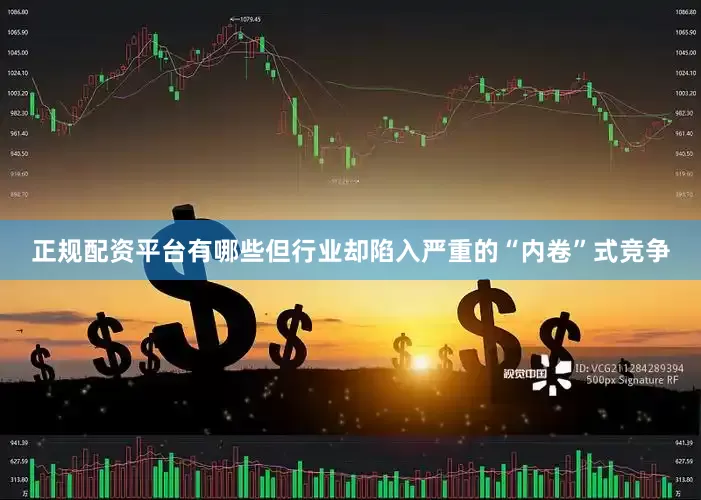 正规配资平台有哪些但行业却陷入严重的“内卷”式竞争